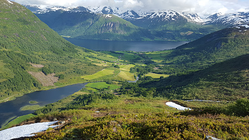 Årdalsdalen