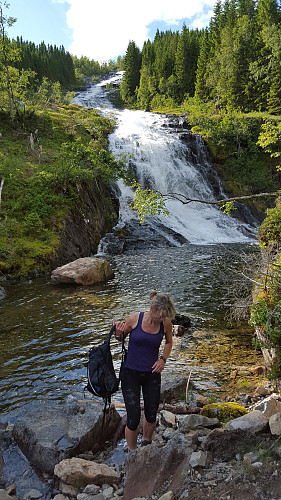 Støylsgrova