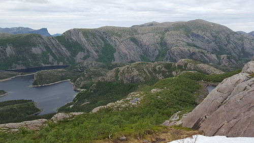 Vingekvarven til høyre 