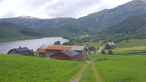 Røyrvika