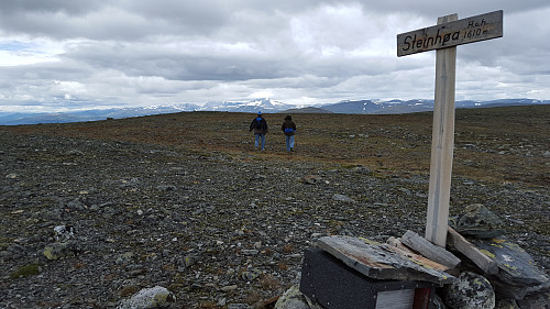 Mot vest & Snøhetta 