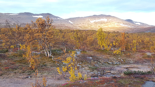 Høst på grensen mellom Oppland og Buskerud