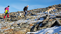 JoSo_20151111_5643932781e9d.jpg