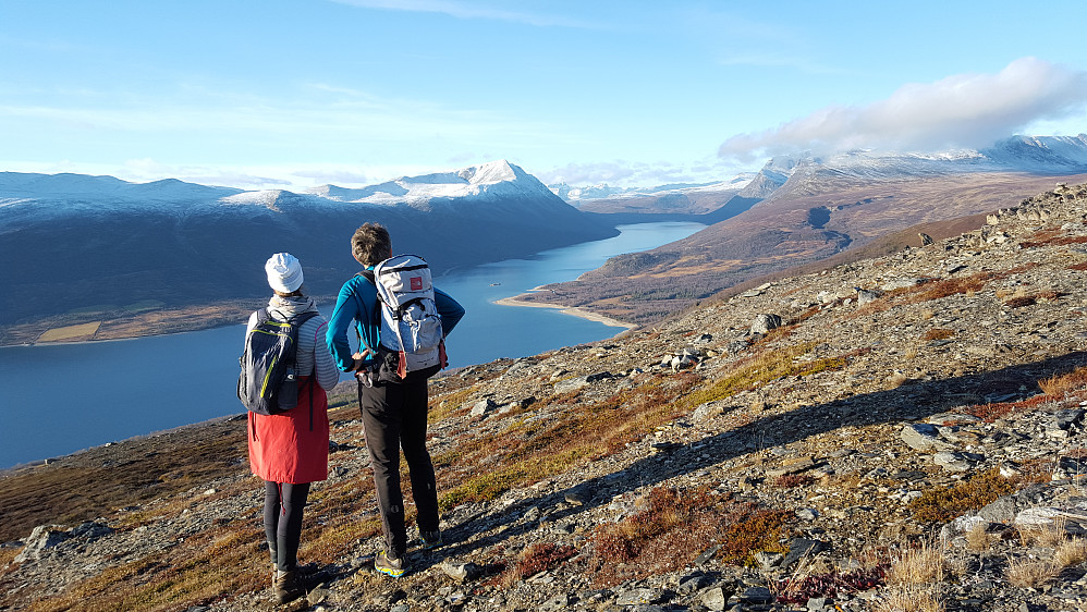 Ved Vardhøa