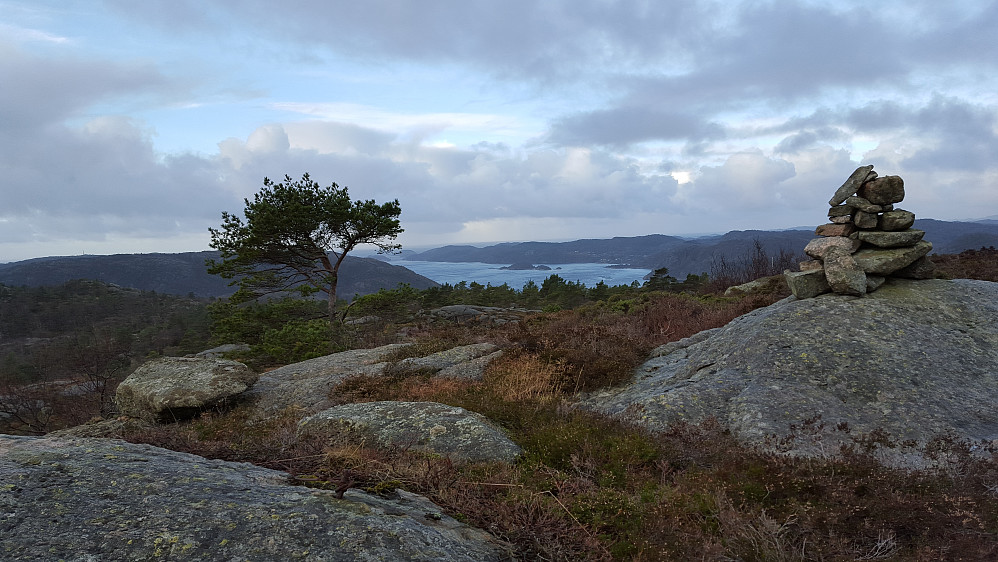 Midtbøknipen