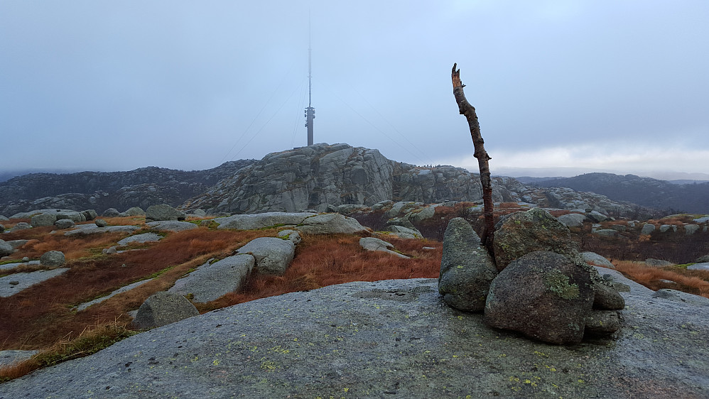 Lyfjellet