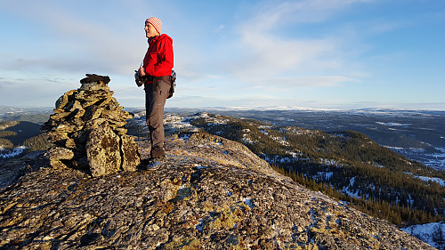 Urdskneppen