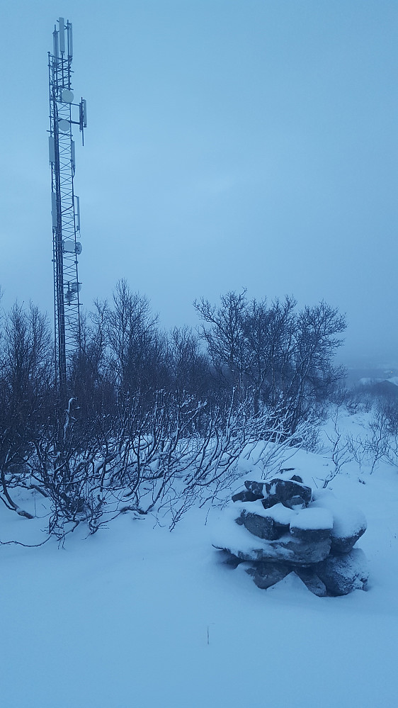 Ørnkjellhaugen