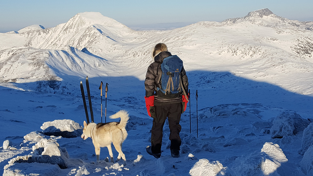 Mannen og hans hund - med begge Snotatoppene i bakgrunnen