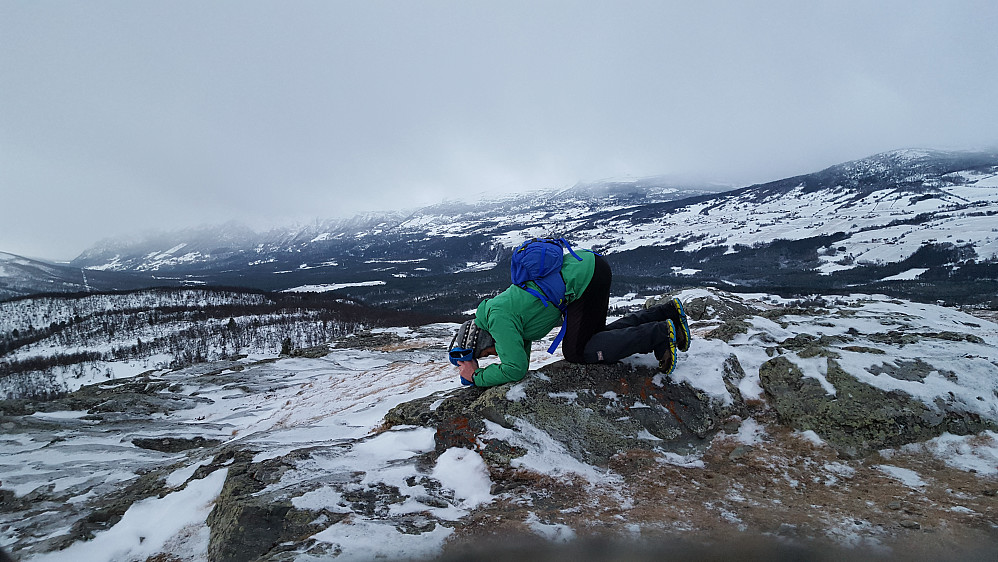 Snøbyger fra vest.. :)
Jeg la inn en liten bønn om MER snø...
