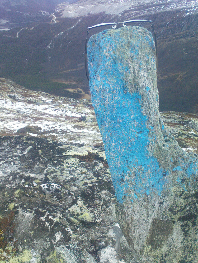 Grensestein