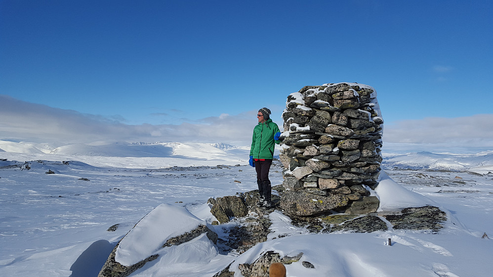 Trondfjellet