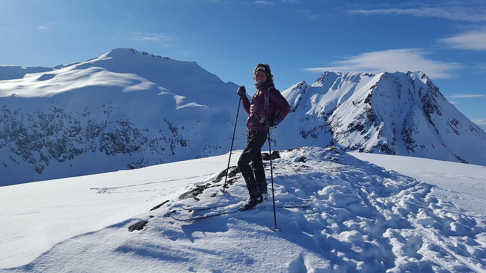 På Saufjellet