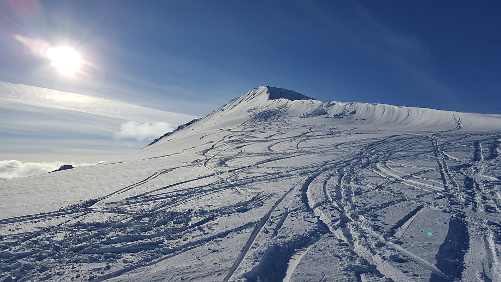 Mye skispor på Nonshøa - en populær skitopp :)