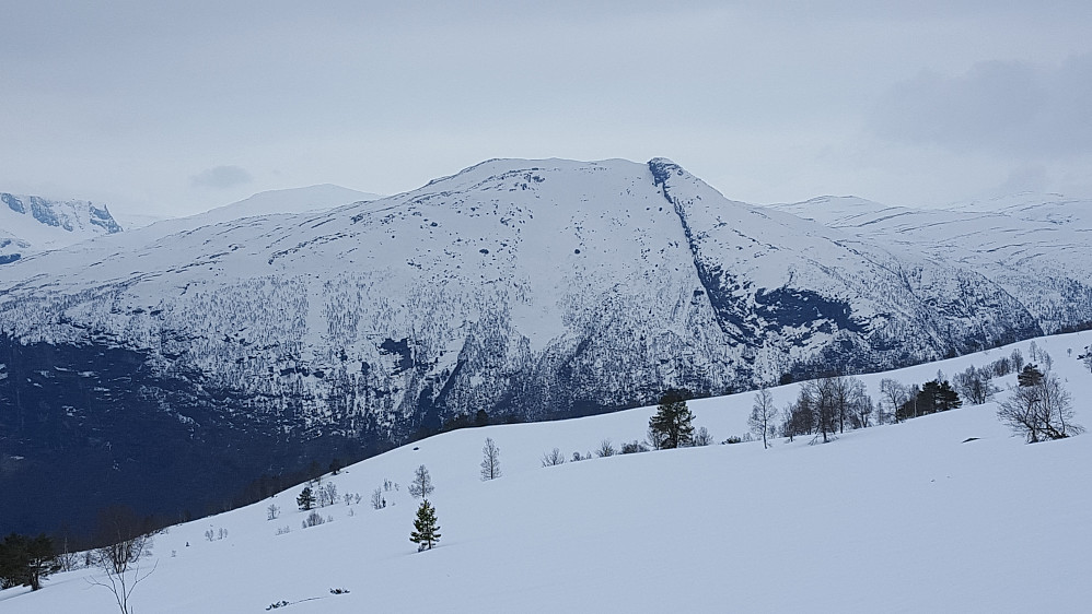 Ryssdalshornet