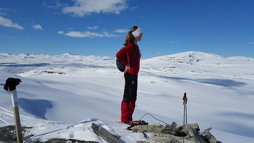 På Svarthammaren