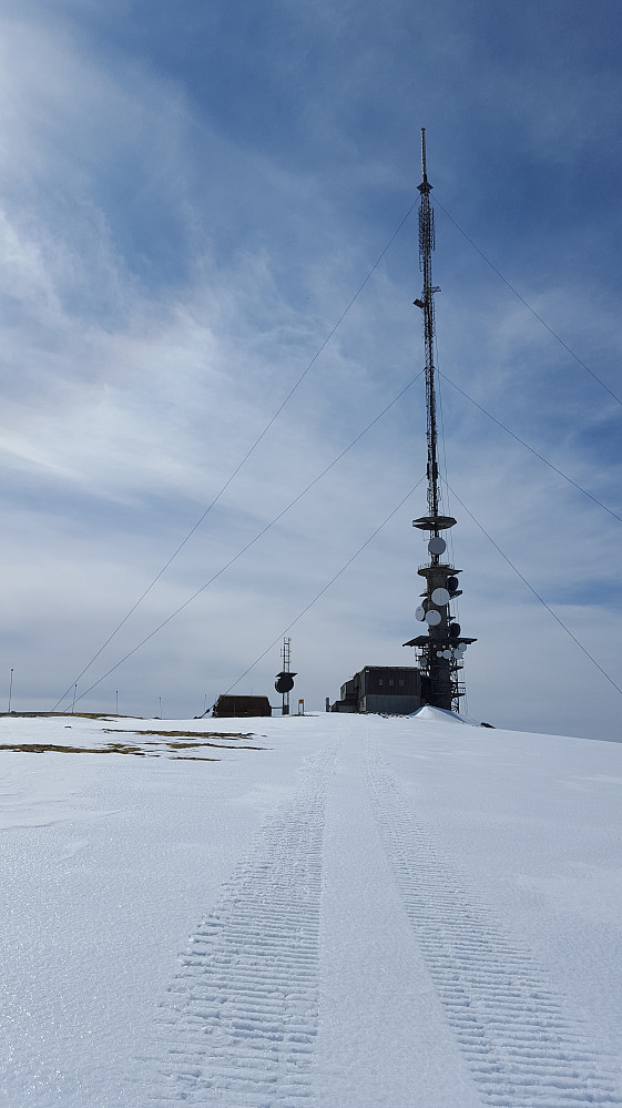 Masta på Steinfjellet
