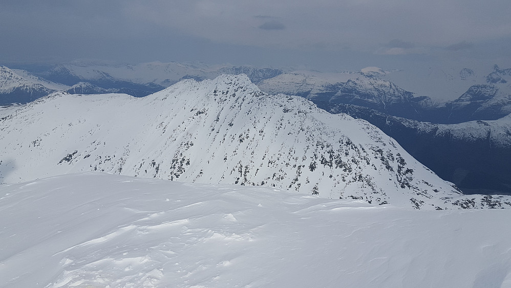 Skrommelnebba