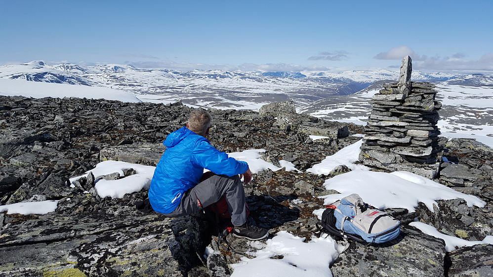 Søre Svarthåmåren