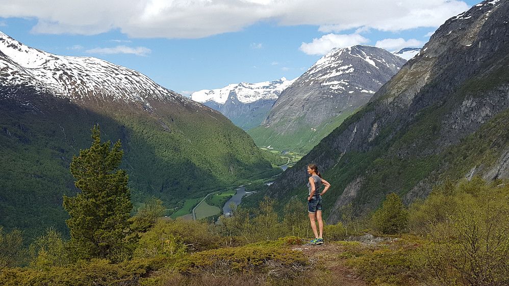 På Gjørashaugen