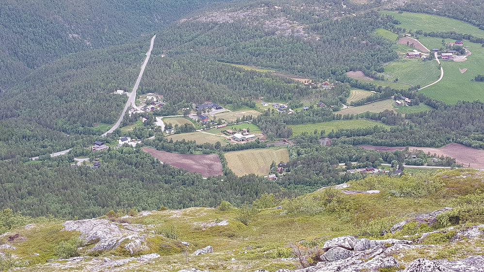 Lønset