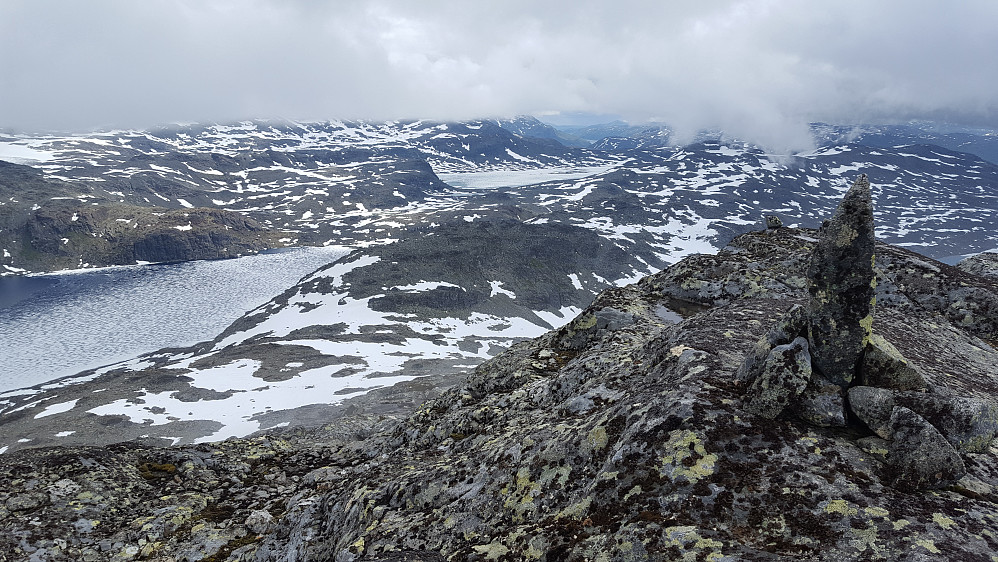 Snøggeknosi