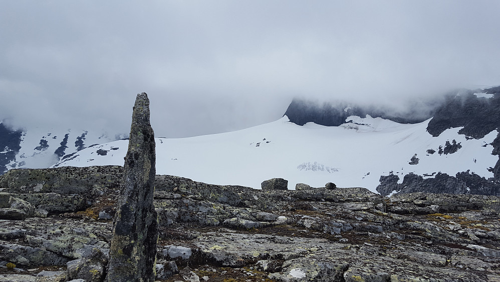 På Snøggeknosi med Falkbreen i bakgrunnen
