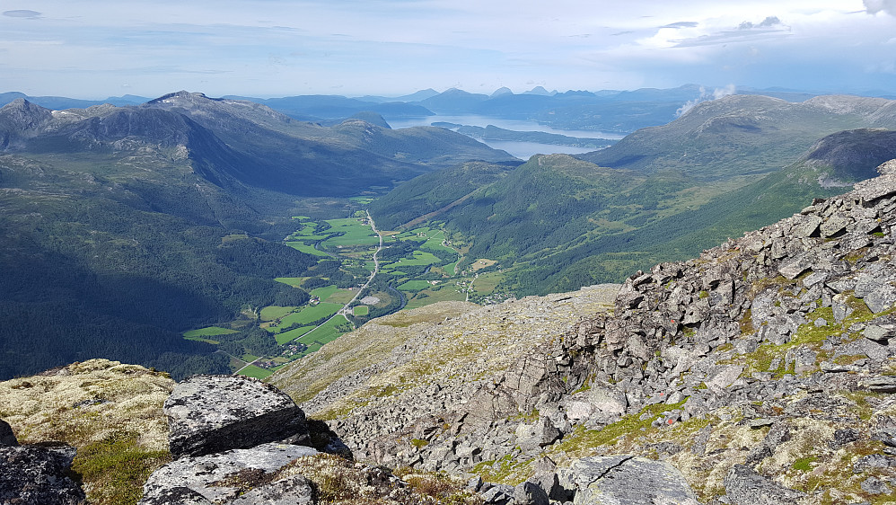 Utsikt fra Mohaugen