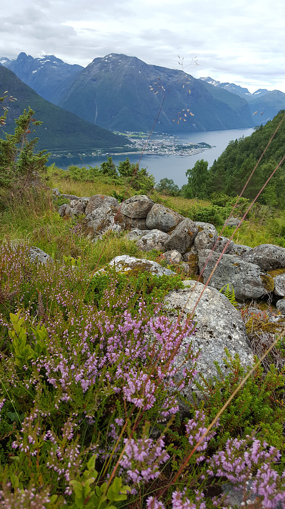 Ved Breivikstølan