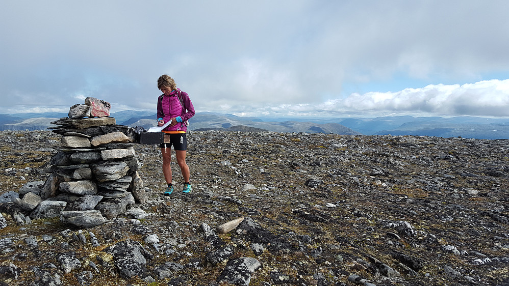Svorundfjellet