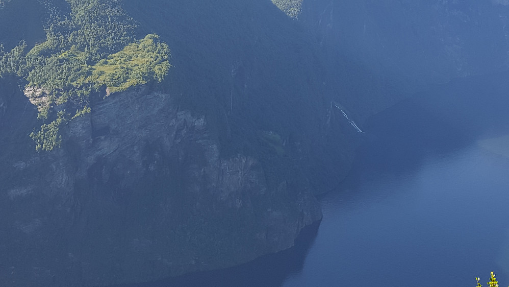 Skageflå nede på hylla over fjorden