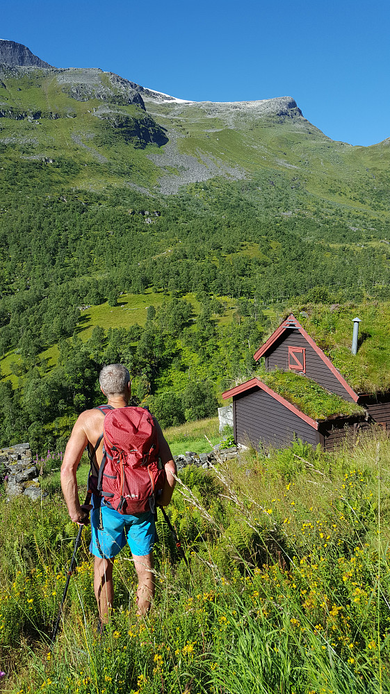 Gomsdalen