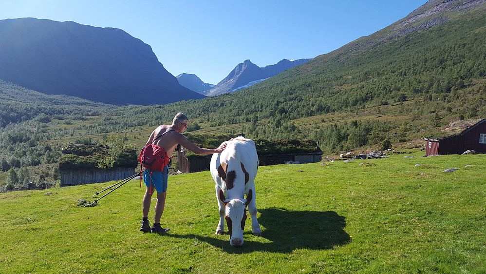 Sæteridyll