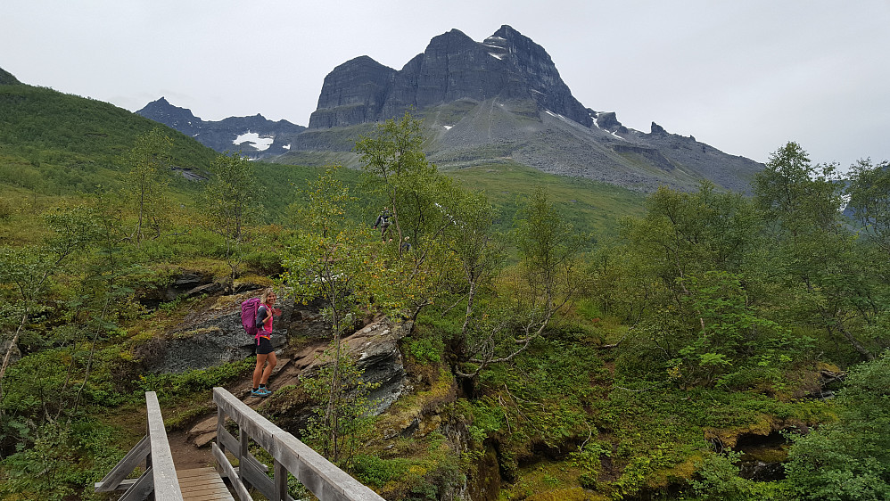 Skarfjellet