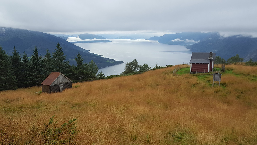 Idylliske Vindhovden med Hardangerfjorden bak