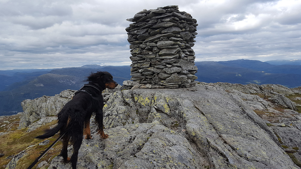 Og fin varde der mange fra Skjeldal-familien har signert i besøksboka :)