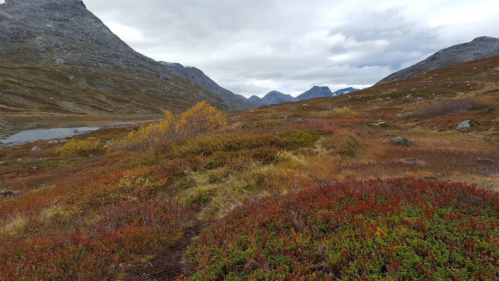 Høst i Langfjelldalen