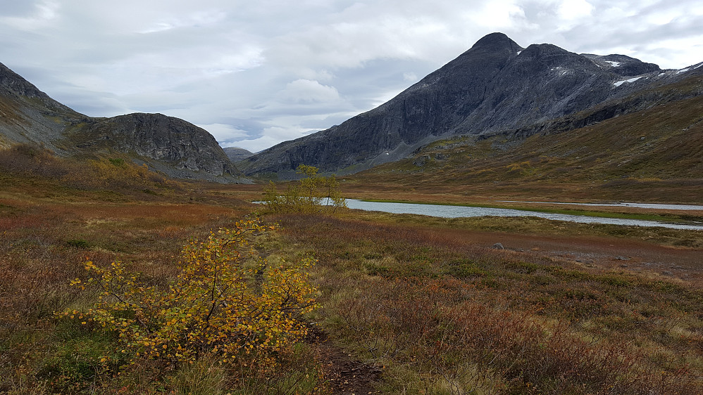 Høst i Langfjelldalen