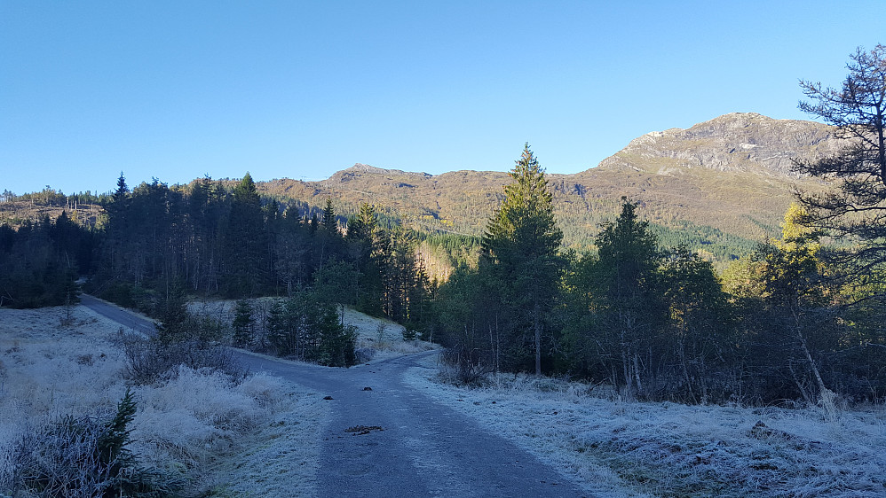 B1 - Rimfrost og kalde netter nå 