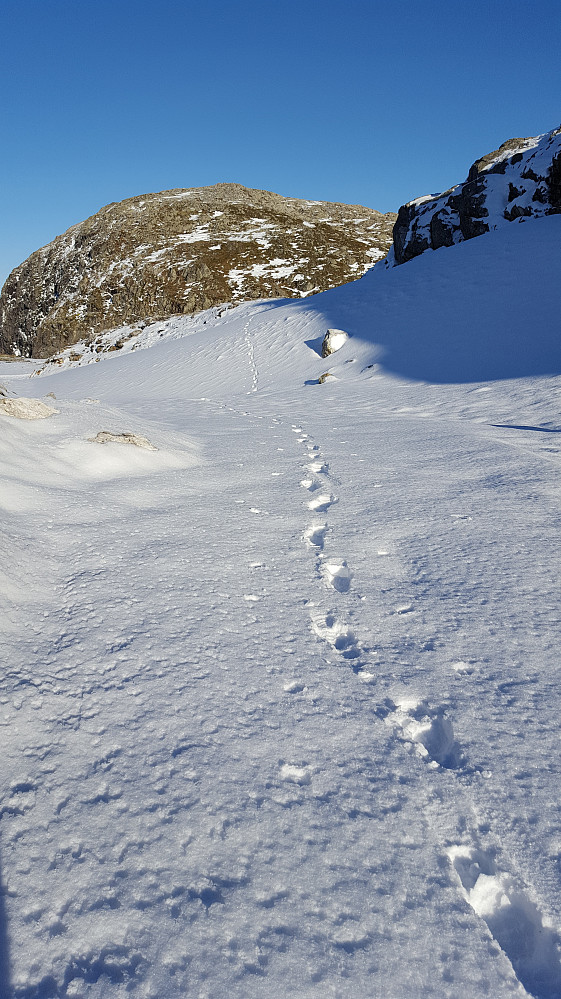 B4 - Vandring i nysnø
