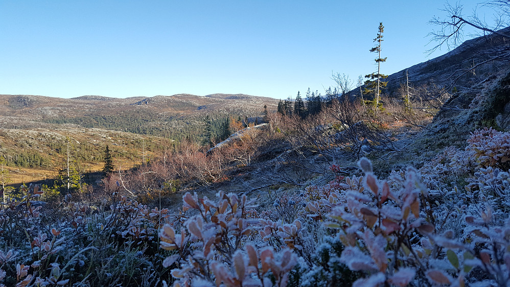 Høstrim i Nord-Trøndelag