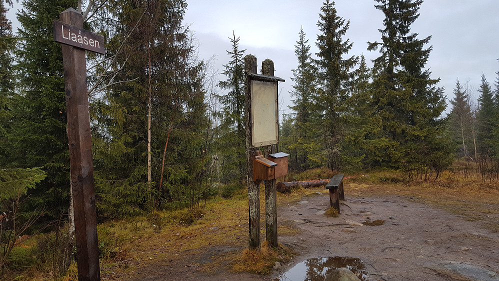 Liaåsen