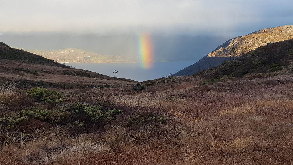 En liten stubb av en regnbue i Årsundfjorden