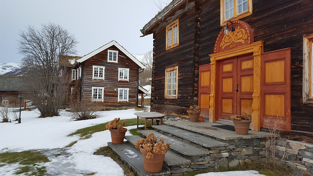 Bjerkaker