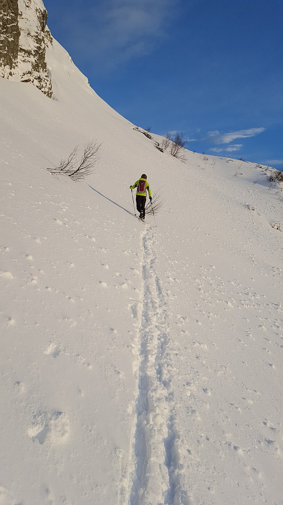 Sol og ypperlig skiføre