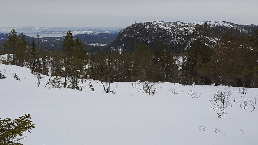 Jervfjellet sett fra nordsiden av Sjåvidthøgda