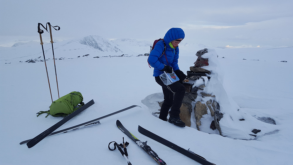 På Svorundfjellet