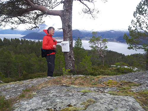 Tranhaugen