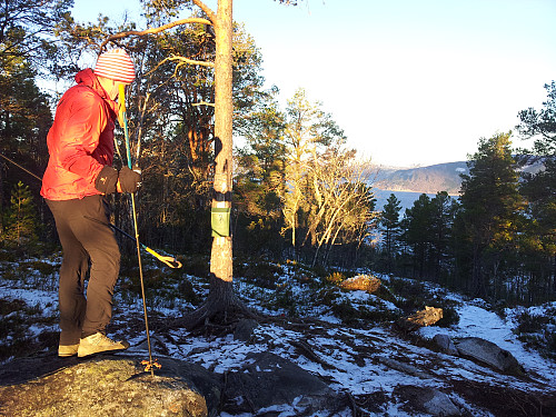 Lave, skogkledde hauger finnes - også i Sunndal :)