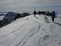 JoSo_20170202_58938d5030869.jpg